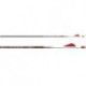 Стрелы Easton CARBON BLOODLINE 400 RED H NOCK AND HP INSERT 2" BLAZER VANES 6/PK