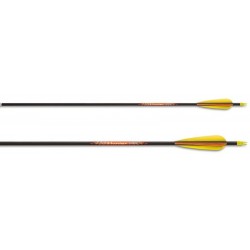 Стрелы Beman ICS HUNTER JR 30-40 LBS 3" VANES,28" LOOSE CB INSERT 12/PK